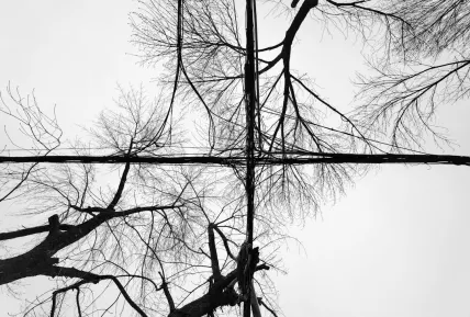 クリスタル カジノ モバイルアプリ